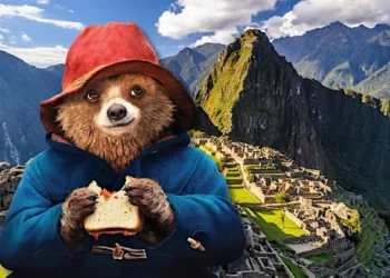 Paddington: The Adorable Peruvian Bear Who Won the Heart of London and the World