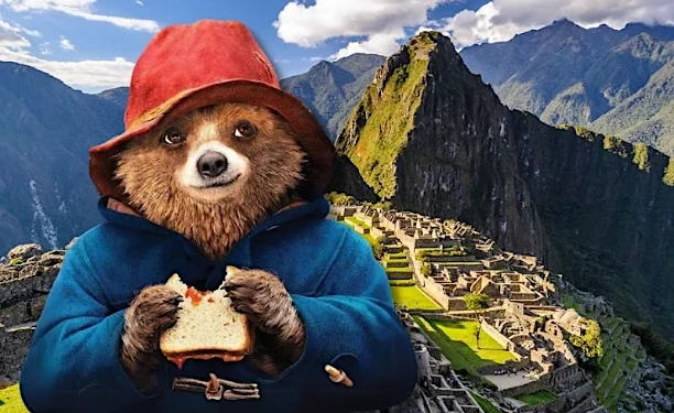 Paddington: The Adorable Peruvian Bear Who Won the Heart of London and the World