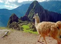 ¿Cual es la Mejor Temporada para Viajar al Perú? Consejos, Clima y Destinos