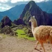 What is the Best Season to Travel to Peru? Tips, Weather and Destinations