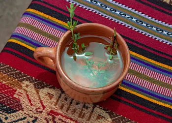 5 Peruvian Andes Medicinal Plants That Can Transform Your Health: Scientifically Proven Properties