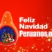 Merry Christmas, Peruvian Style: A Celebration Filling Hearts in the Netherlands