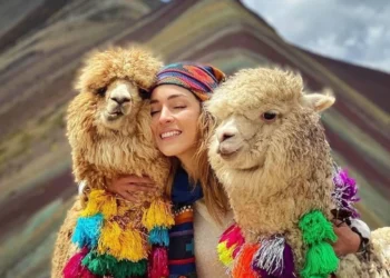 The Andean Camelids: Guardians of the Peruvian Andes