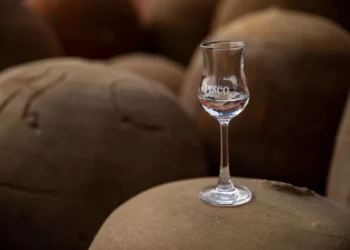Pisco Peruano: A Distilled Jewel You Should Know