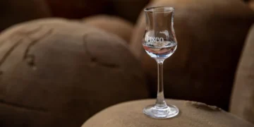 Pisco Peruano: A Distilled Jewel You Should Know