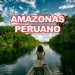 El Asombroso Tesoro del Perú: ¡El 60% de su Territorio es Selva!