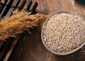 Quinoa: Het Gouden Graan van de Andes dat de Wereld Veroverde