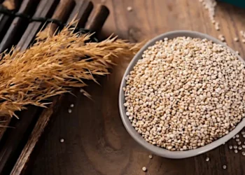 Quinua: El Grano de Oro de los Andes que Conquistó el Mundo