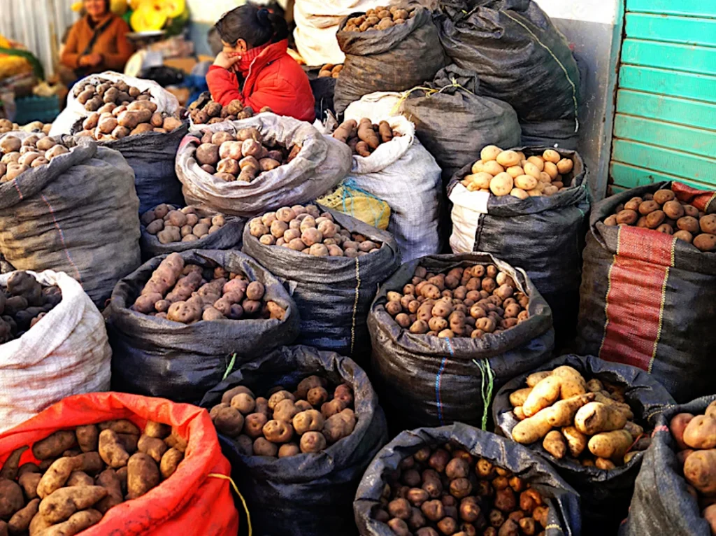 Peruaanse aardappelen in een Nederlandse keuken