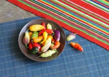 Tipos de Ají Peruano: Guía de Sabor y Picor para Cocinar en Países Bajos
