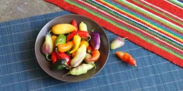Tipos de Ají Peruano: Guía de Sabor y Picor para Cocinar en Países Bajos