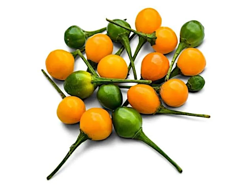 Groep gele en groene ají charapita's, klein en rond.